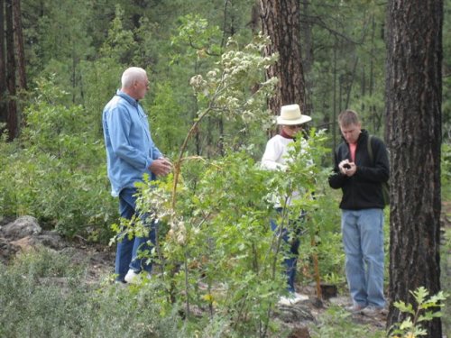 Geocaching